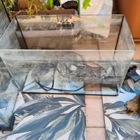 acquari cubini e accessori 