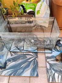 acquari cubini e accessori 