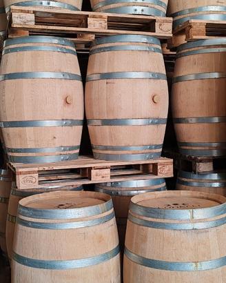 Barrique – Botte