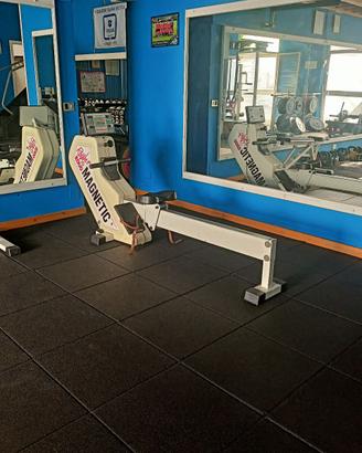 Vogatore Rower Panatta