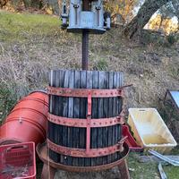 TORCHIO PER VINACCE A CRICCO