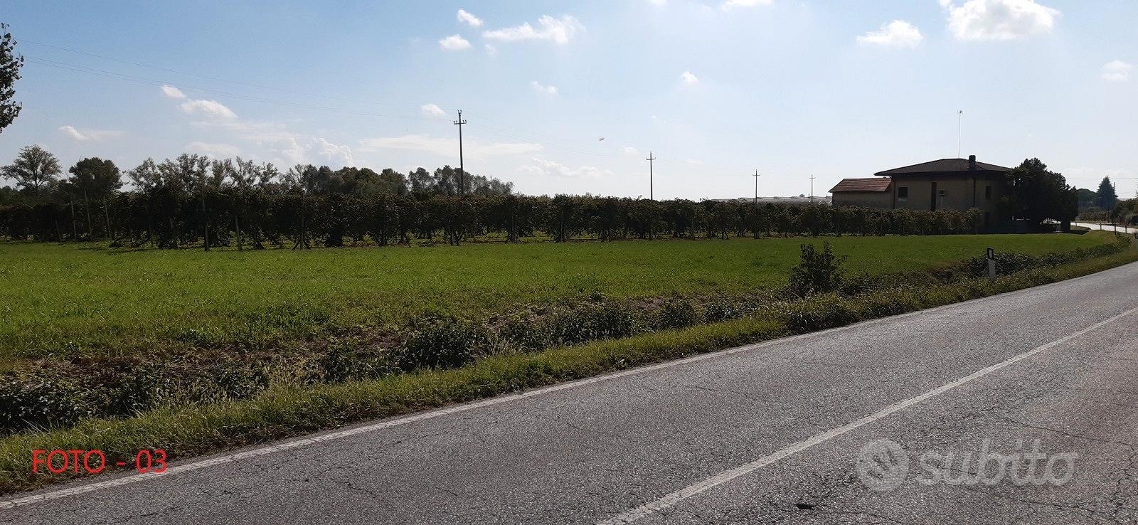 Terreno agricolo - Vista 5
