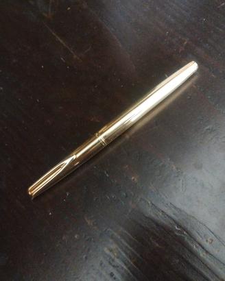 Penna Stilografica da collezione 