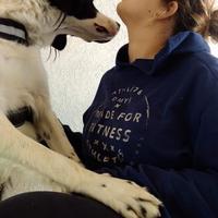 Educatrice / addestratrice cinofila