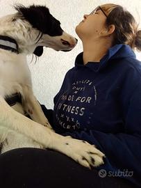 Educatrice / addestratrice cinofila