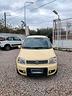 fiat-panda-1-2-climbing-natural-power