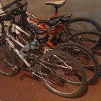 Bicicletta Mountain Bike