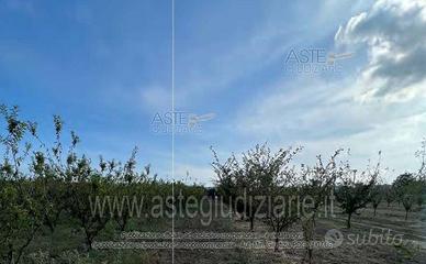 Terreno Agricolo Calvizzano [A4357682]