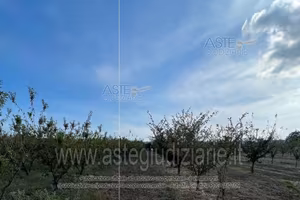 Terreno Agricolo Calvizzano [A4357682]