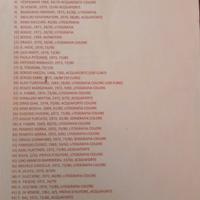 acquaforte incisioni vari artisti e misura