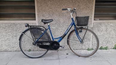 donna ragazza 26 con cestino pronta all'uso 