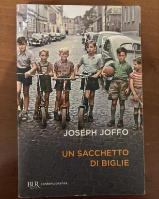 Libro: Un sacchetto di biglie, Joseph Joffo