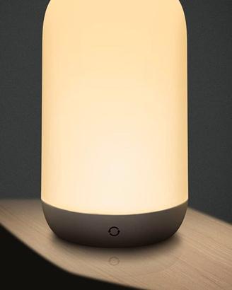 Luce Notturna Portatile Wireless 24 Tonalità