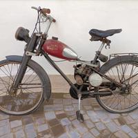 Bianchi Aquilotto 48