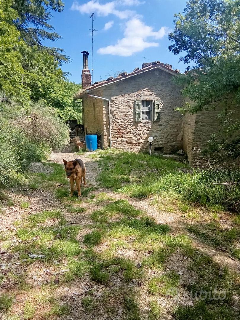 Rustico in sasso a Rocca S. Casciano - Altro