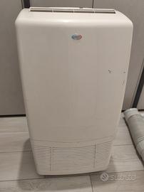 climatizzatore portatile 