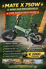 Bici elettrica 750w