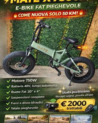 Bici elettrica 750w