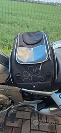Bagster porta cane da moto