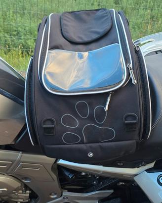 Bagster porta cane da moto