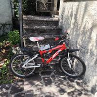 bicicletta SpeedDemon