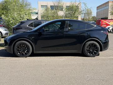 Tesla  Model Y