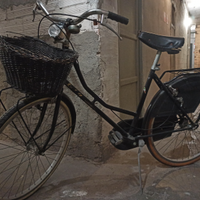 Bicicletta con cestino
