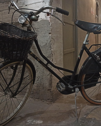 Bicicletta con cestino