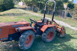 Tigrone Antonio Carraro