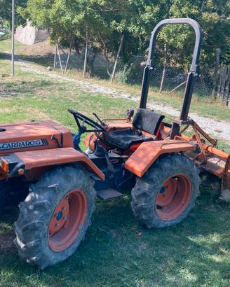 Tigrone Antonio Carraro