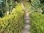 Immagine 7