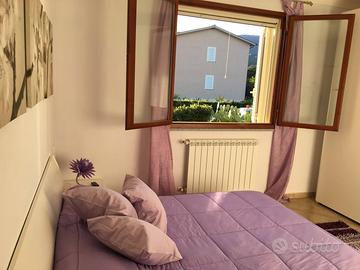 Casa vacanze Campo nell' Elba LAST MINUTE