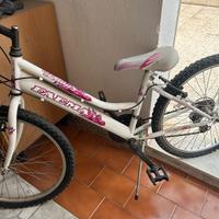 bicicletta