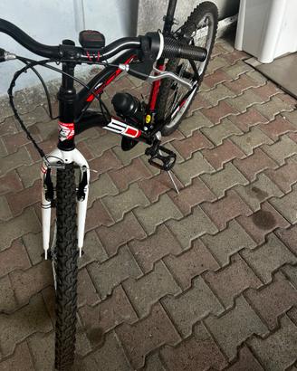 Mtb SO