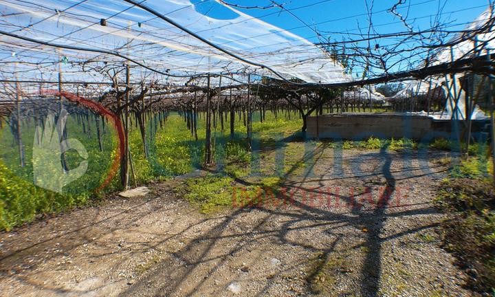 Terreno Agricolo Trani [Cod. rif 3128340VRG]
