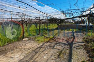 Terreno Agricolo Trani [Cod. rif 3128340VRG]