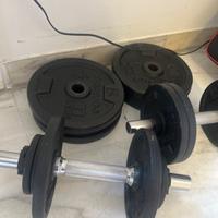 Pesi in ghisa + manubri