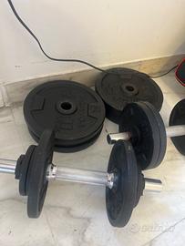 Pesi in ghisa + manubri