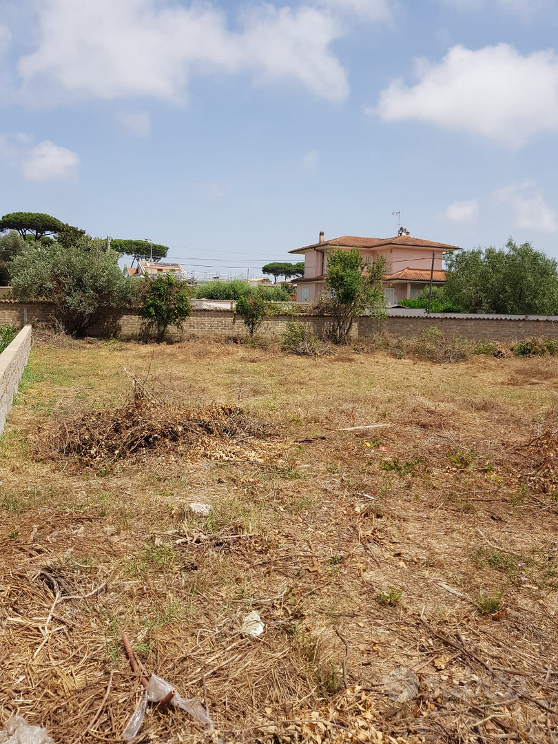 Anzio - terreno edificabile - Vista 5