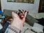 Immagine 6