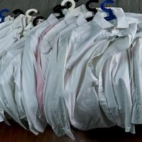 Camicie