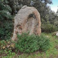 Pietre da giardino