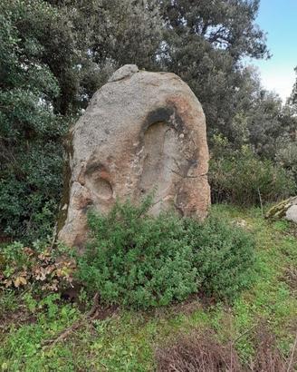 Pietre da giardino