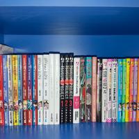 Manga misti (omaggio nella descrizione)