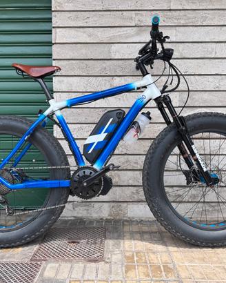 Bici elettrica fatbike
