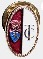 Spilla smaltata Torino Calcio