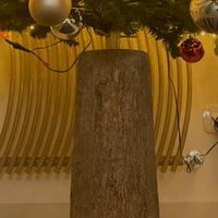 Base per albero di natale tronco edg