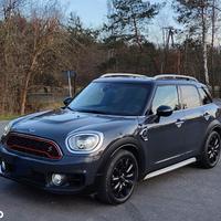 Ricambi Mini Countryman 