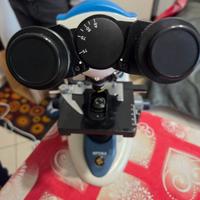 Microscopio