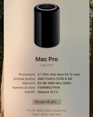 Mac Pro Late 2013 – 12 Core - 64GB RAM - HD 1 TB